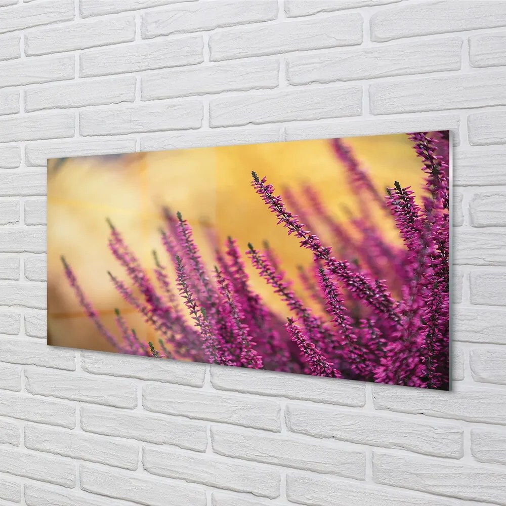 Quadro di vetro I fiori 100x50 cm