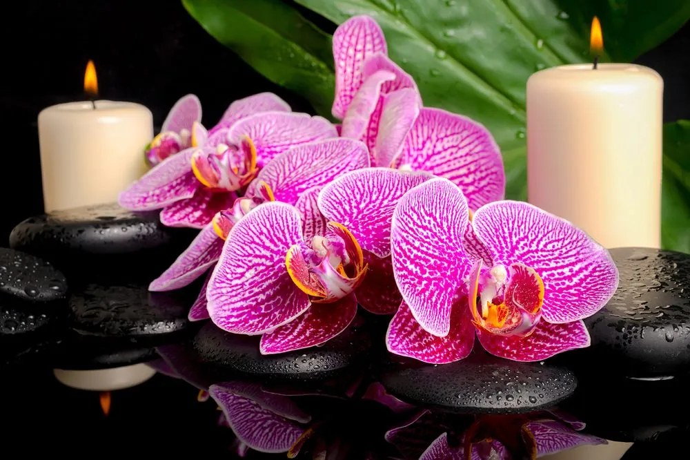 Carta da parati – Composizione Zen con candele