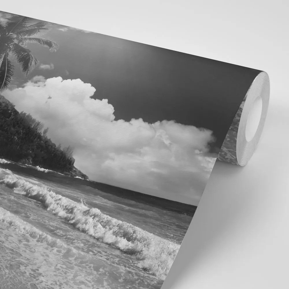 Carta da parati – Spiaggia sull'isola di Seychelles in bianco e nero
