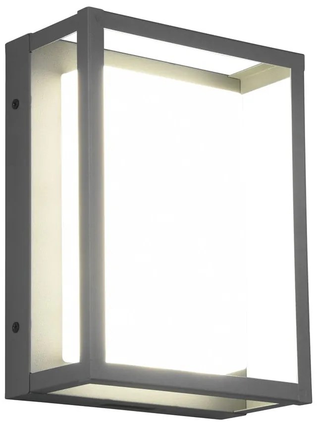 Lampada da parete per esterni a LED (altezza 24 cm) Witham - Trio