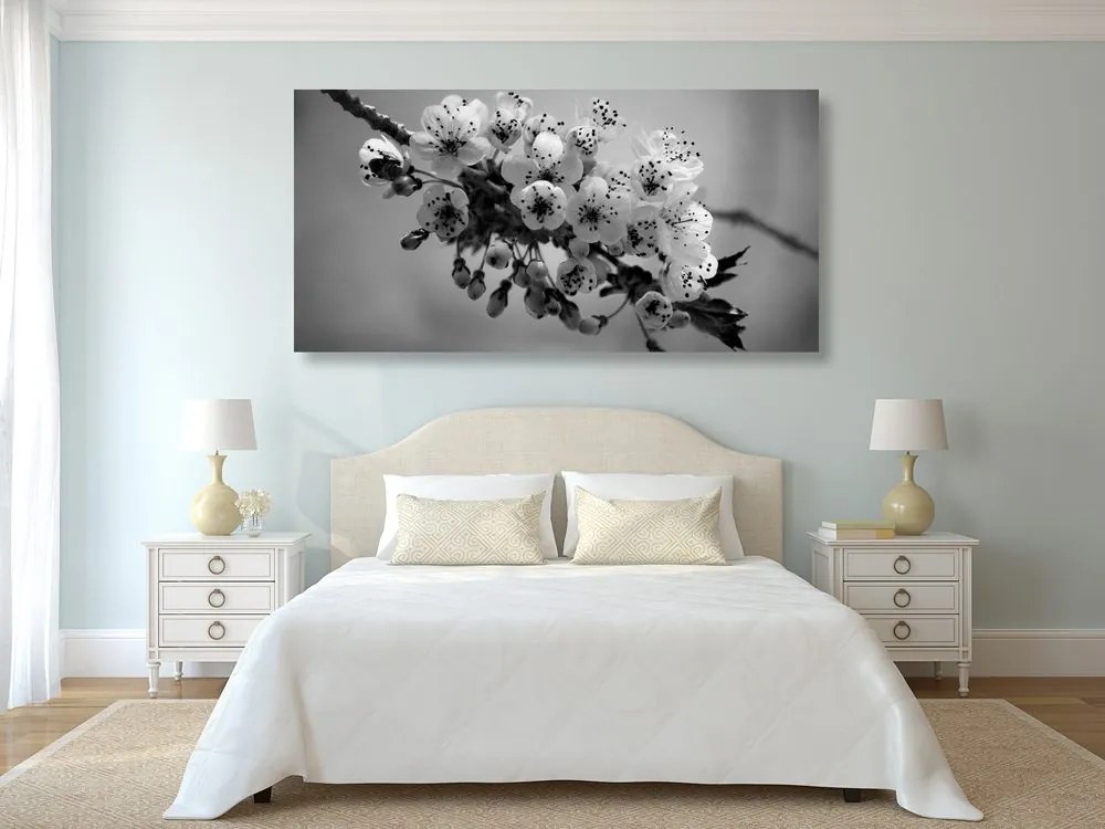 Quadro su tela – Ramo fiorito di ciliegio in bianco e nero