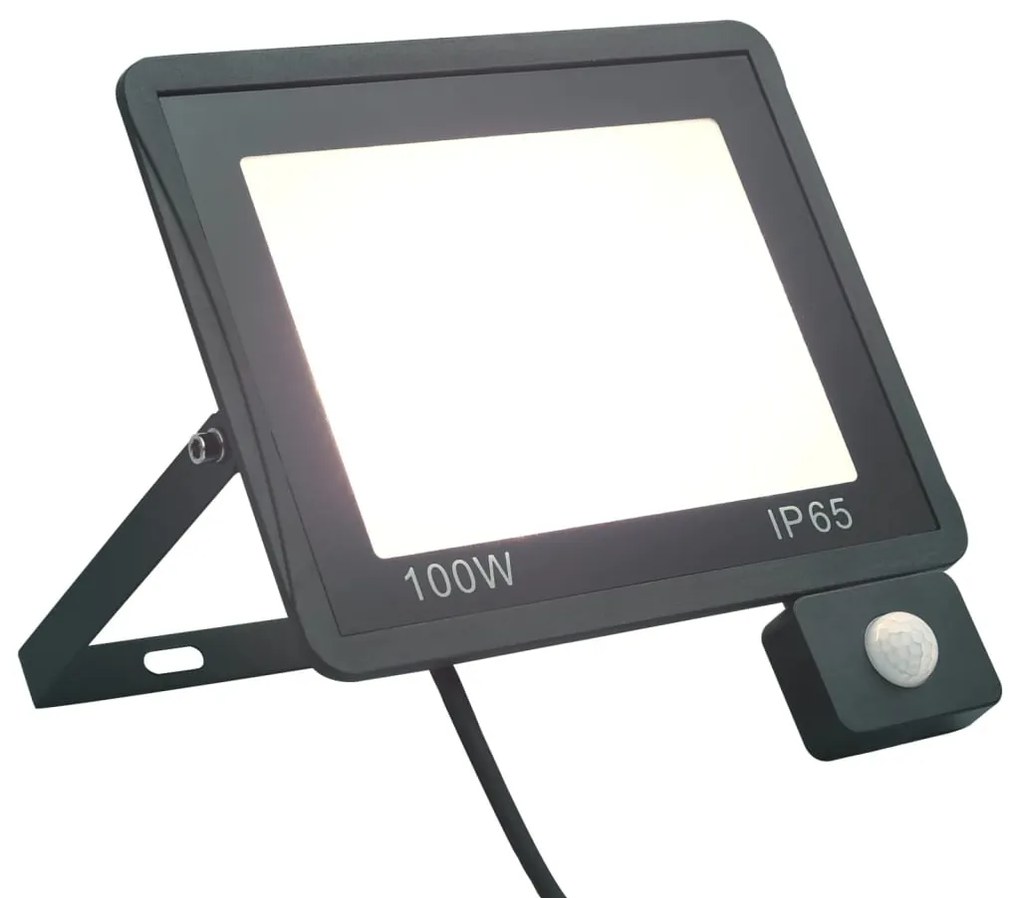 Faretto A Led Con Sensore 100 W Bianco Freddo /