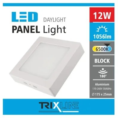 Plafoniera LED LED/12W/230V 6500K