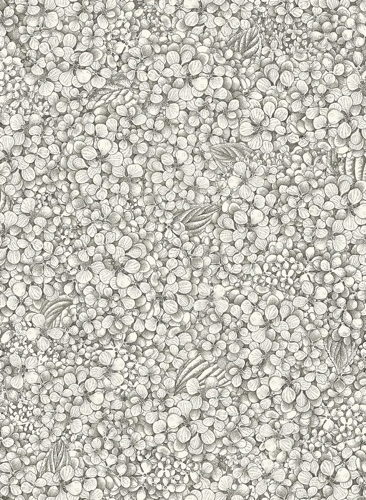 Cole & Son Carta da parati Ortensia - Black/ White