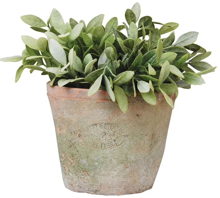 Vaso in terracotta ø 16 cm - Esschert Design