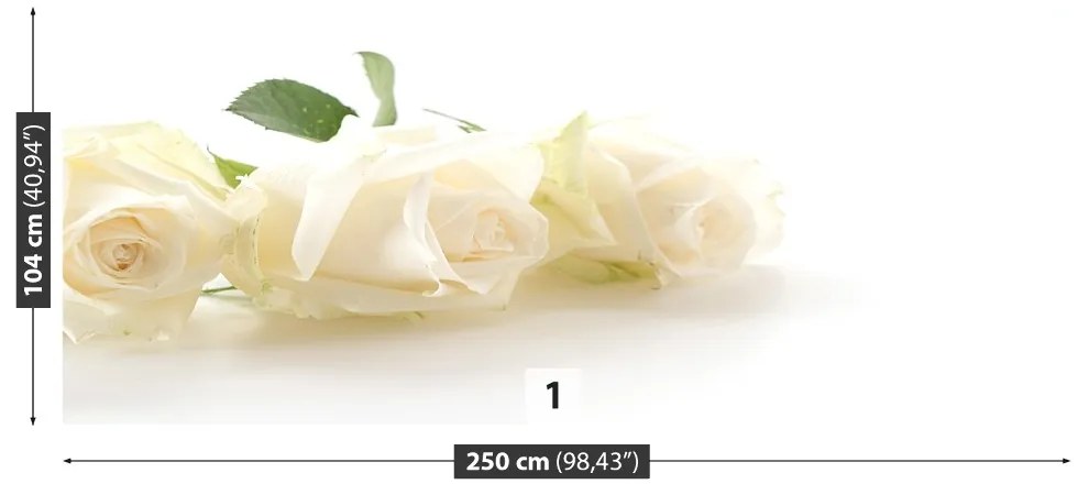 Carta da parati Rose bianche 104x70 cm