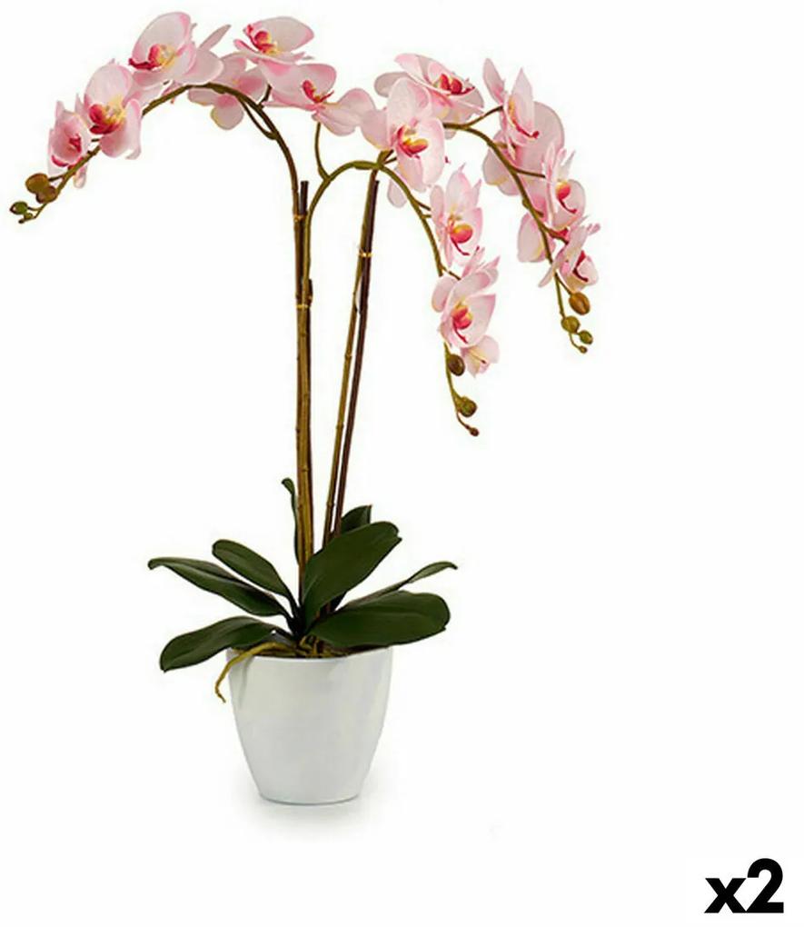 Pianta Decorativa Orchidea Plastica 40 x 77 x 35 cm (2 Unità)