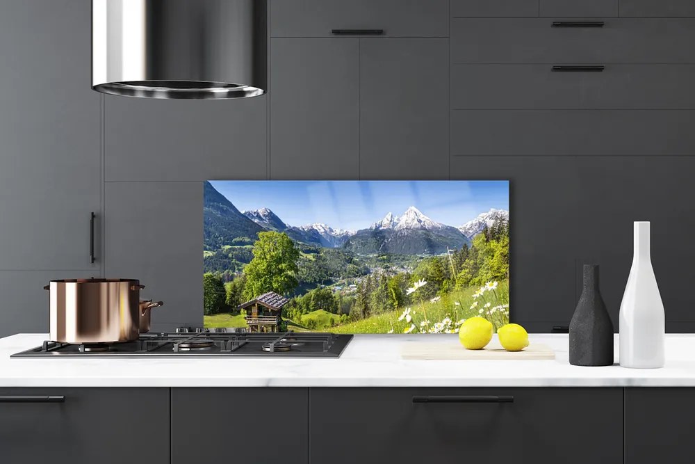 Pannello paraschizzi cucina Montagna del campo naturale 125x50 cm