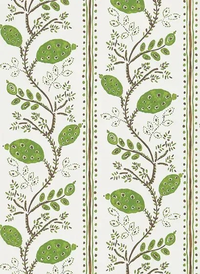 Tapete Pomegranate Trail v. Nina Campbell - Green/ Chocolate