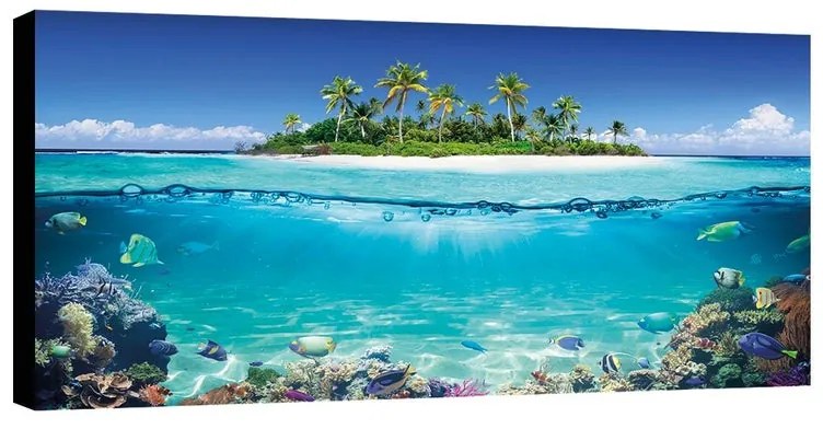 Stampa su tela Mare Tropicale, multicolore 145 x 75 cm