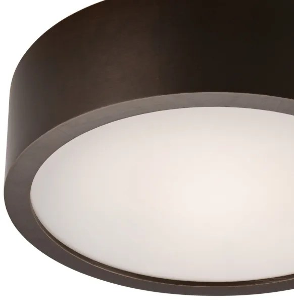 Lampada da soffitto 1xE27/60W/230V