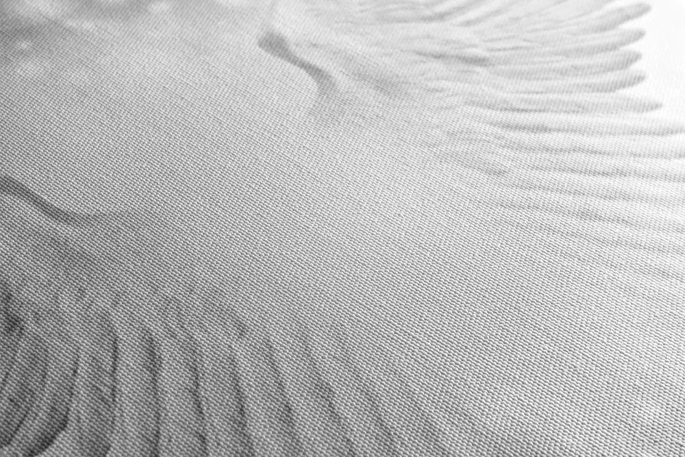 Stampa su tela – Ali in bianco e nero con elementi astratti