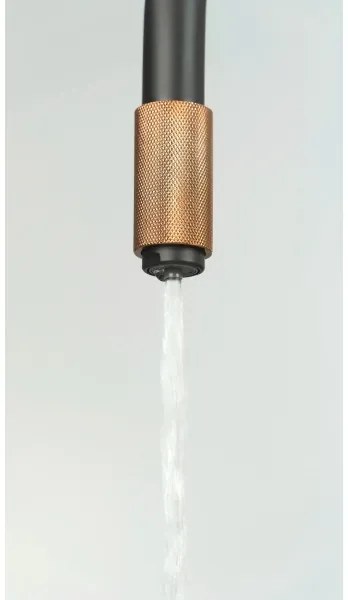 Deante BCA_B64M - Miscelatore per lavello ASTER nero/ottone