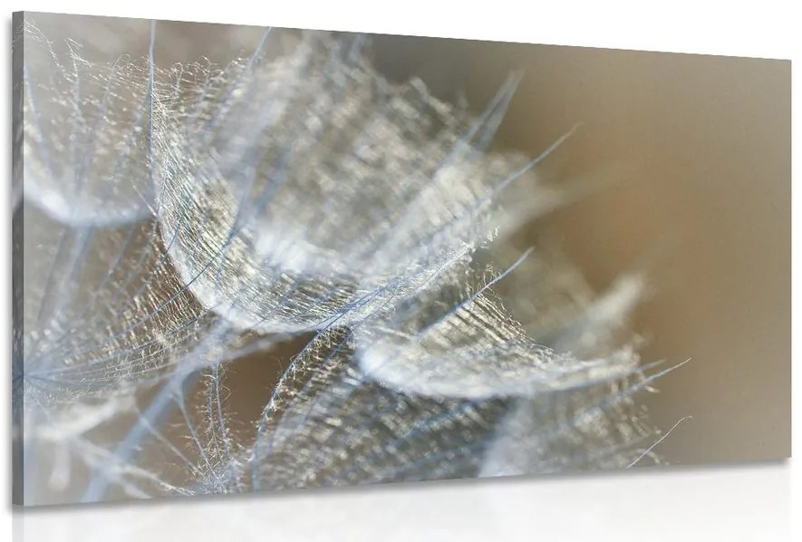 Quadro su tela – Macro soffione su sfondo