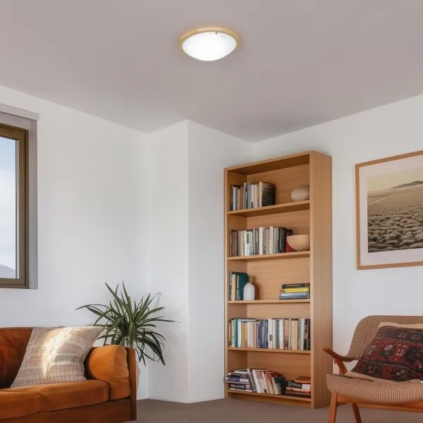 Rabalux 5421 - Plafoniera UFO 2xE27/60W/230V