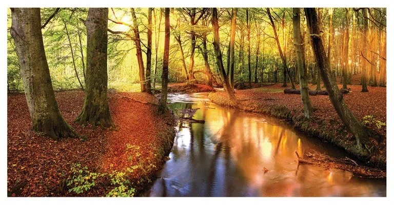 Stampa su tela Fiume nel bosco, multicolore 80 x 180 cm