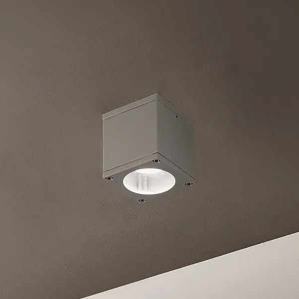 Plafoniera NEVADA 9x10 cm per esterni LED in alluminio Silver