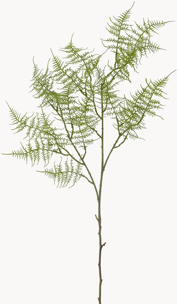 Set di 2 piante artificiali Fern