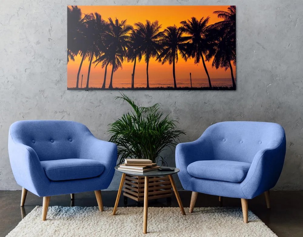 Stampa su tela – Tramonto sulle palme
