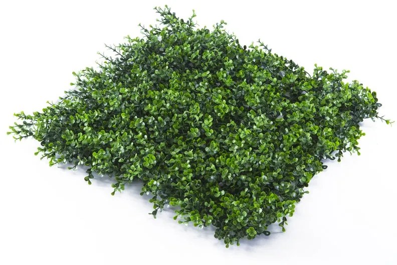 Parete verde artificiale Bosso Divy 3D in polietilene, verde H 1 m x L 1 m