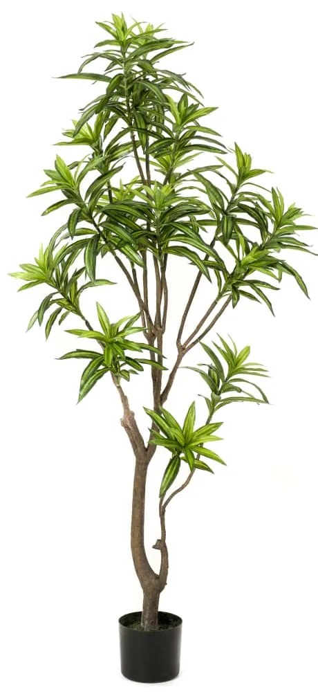 Albero Di Dracaena Artificiale 155 Cm Verde /