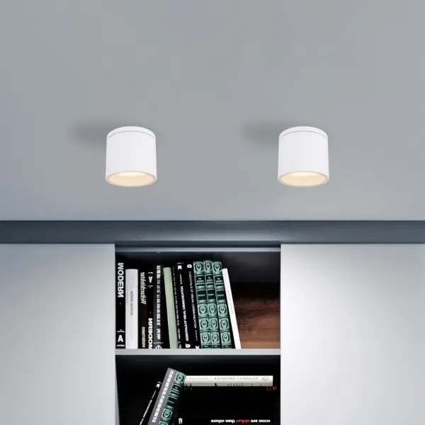 Globo 32063W - Plafoniera da esterno ALCALA 1xGX53/11W/230V IP44