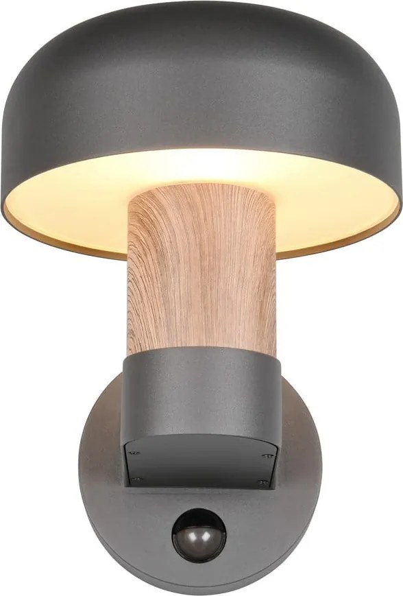 Illuminazione esterna con sensore di movimento da parete (altezza totale 24,5 cm) Fraser – Trio