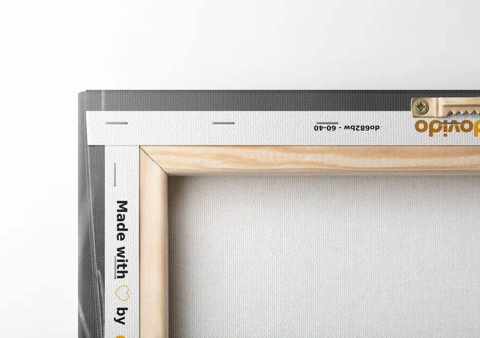 Quadro su tela – Erba di cotone in bianco e nero