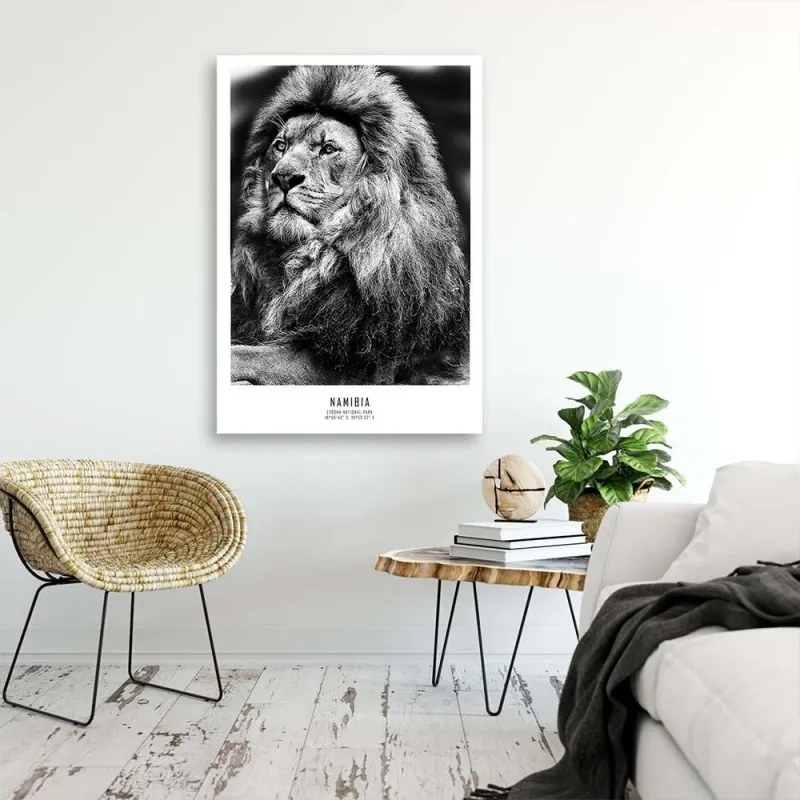 Quadro su tela, Animali Africa Lion  Dimensioni 40x60