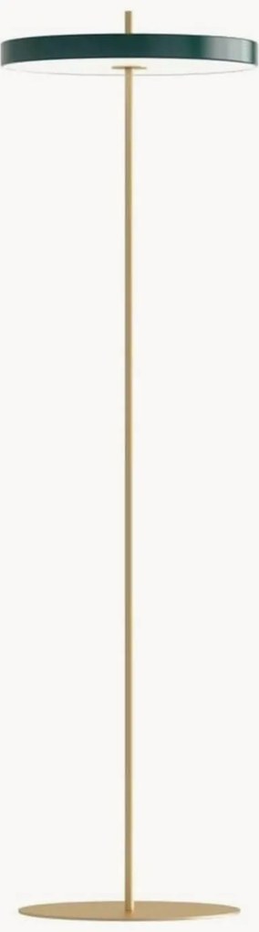 Lampada da terra a LED con luce regolabile Asteria