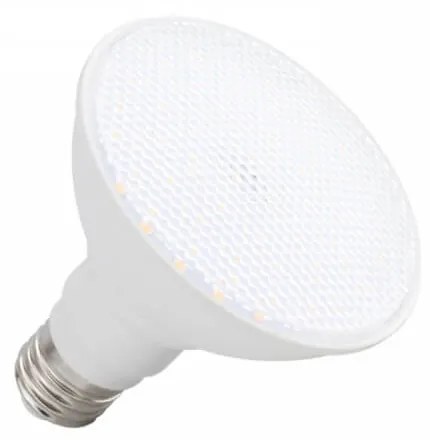 Lampada LED PAR30 12W, 110° Colore  Bianco Caldo 2.700K