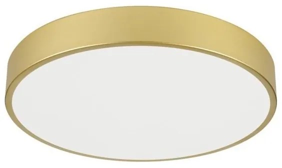 Immax NEO 07292L - LED+CCT dimmerabile plafoniera SEMPLICI 36W/230V Ø 40 cm + telecomando