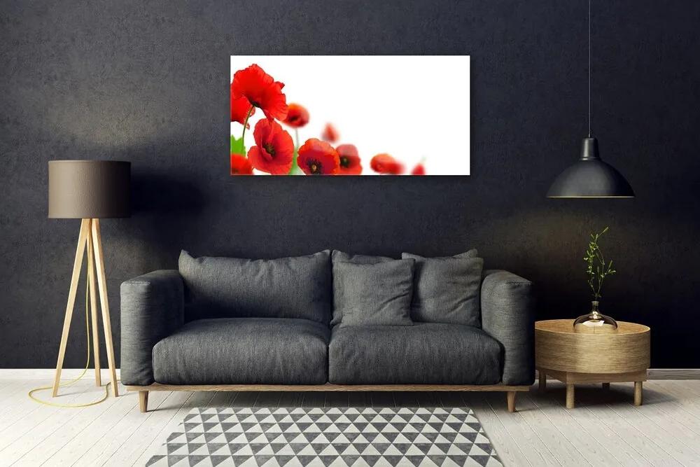 Quadro acrilico Papaveri rossi della natura 100x50 cm
