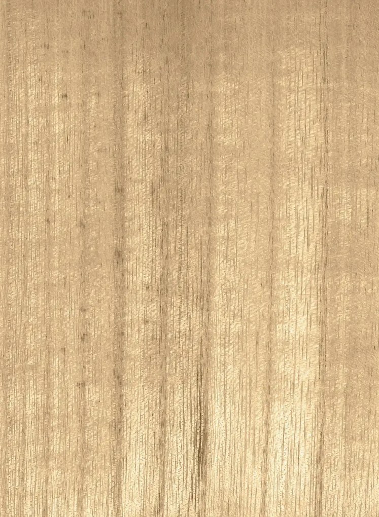 CMO Paris Tapete Bois - Blond