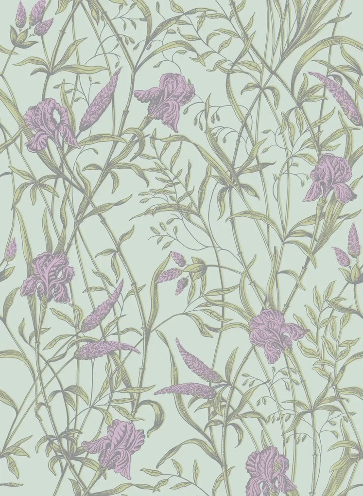 Cole & Son Carta da parati Iris - Lavender on Duck Egg