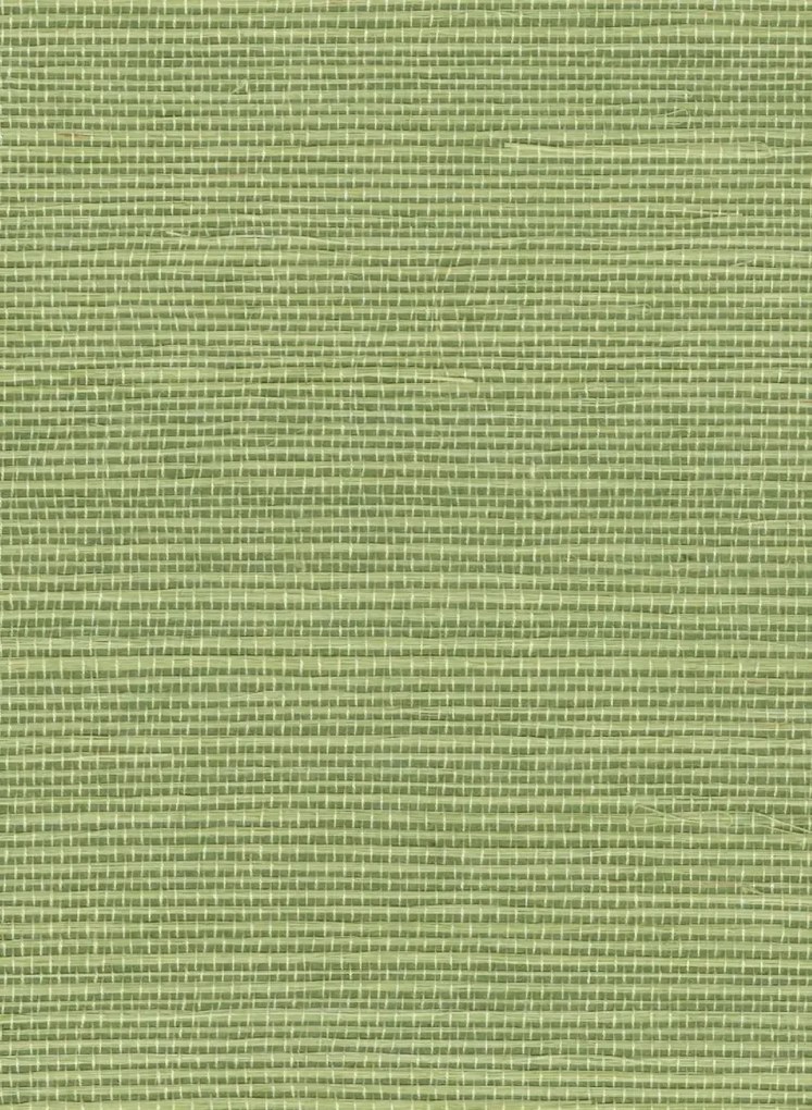 Élitis Tapete Sisal - RM 1069 63