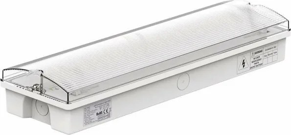 Luce di emergenza a LED EMERGENCY EXIT LED/3W/230V 6400K IP65