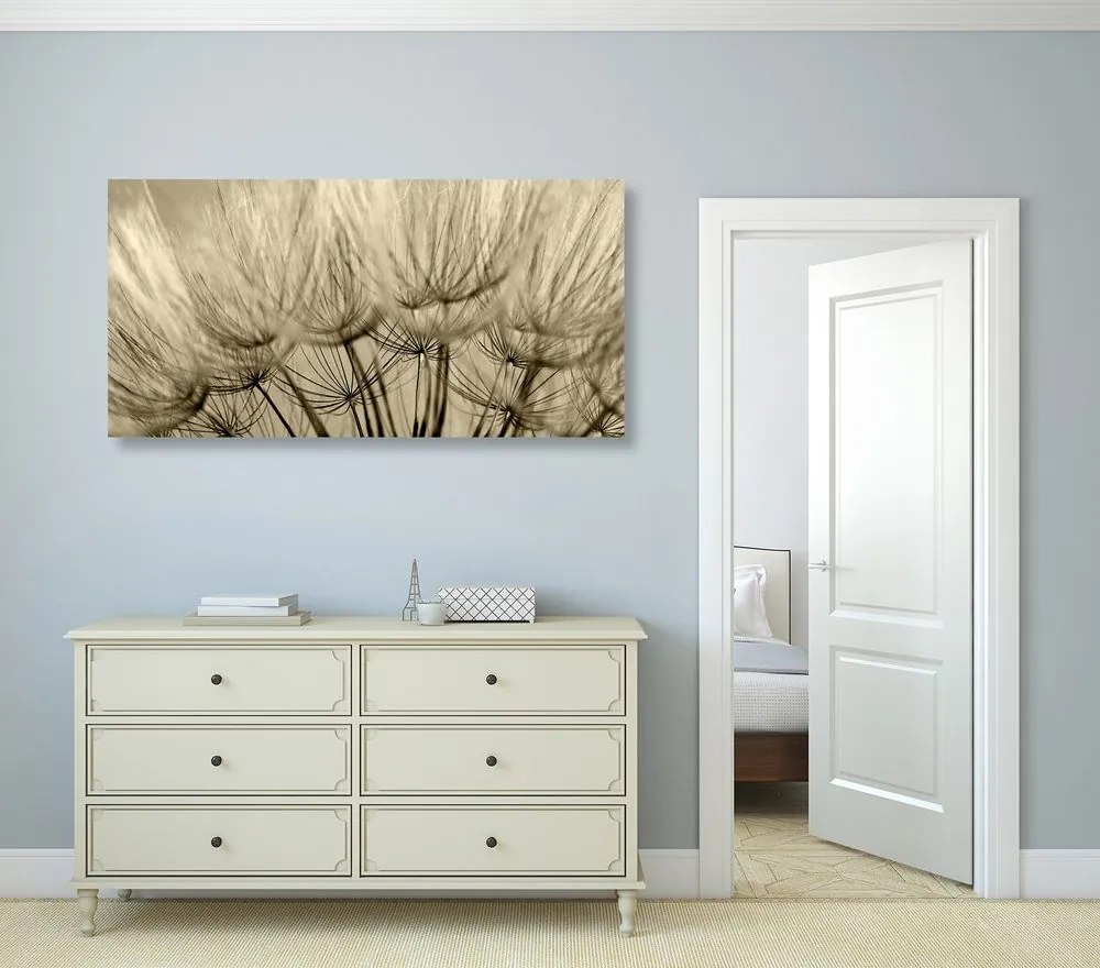 Quadro su tela – Semi di soffione in versione seppia