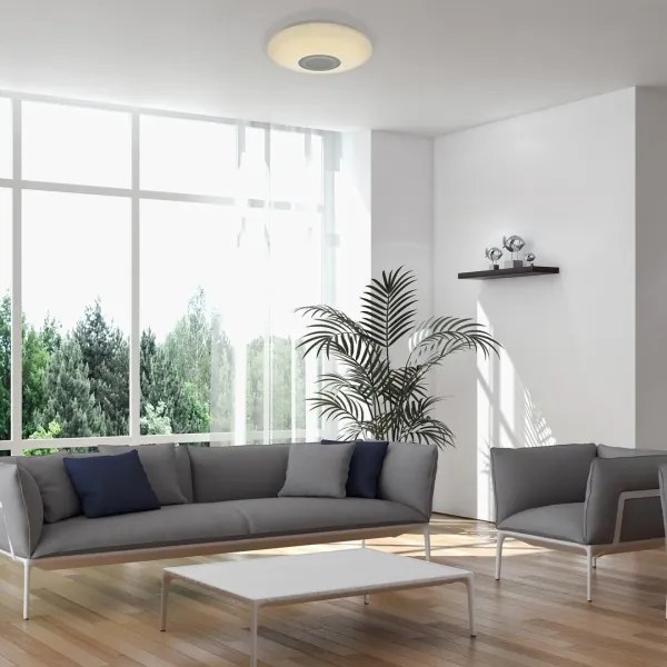 Rabalux 3509 - Plafoniera da soffitto LED RGB dimmerabile RODION LED/24W/230V + telecomando