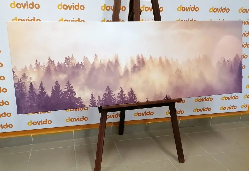 Stampa su tela – Nebbia sopra la foresta
