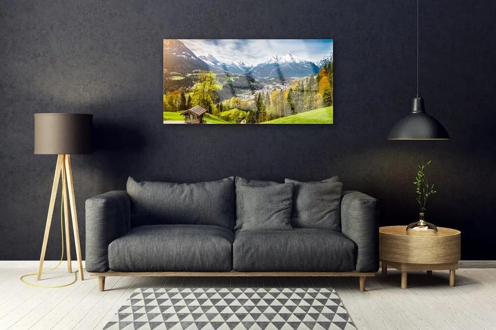 Quadro acrilico Il paesaggio alpino 100x50 cm