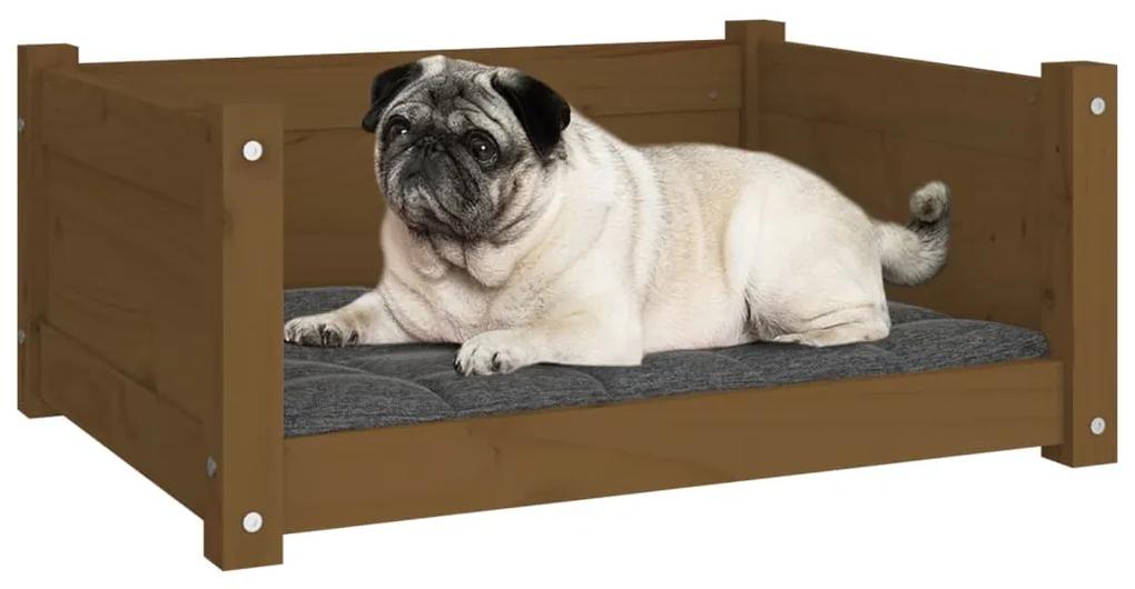 Cuccia per cani miele 65,5x50,5x28cm in legno massello di pino