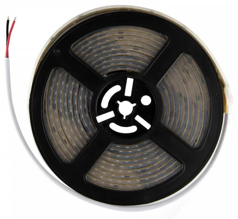 Strisce LED 220V 16W/m, 120lm/W, chip Lumileds, Dimmerabile, tagl. 10cm – 5m Colore Bianco Freddo 6.000K