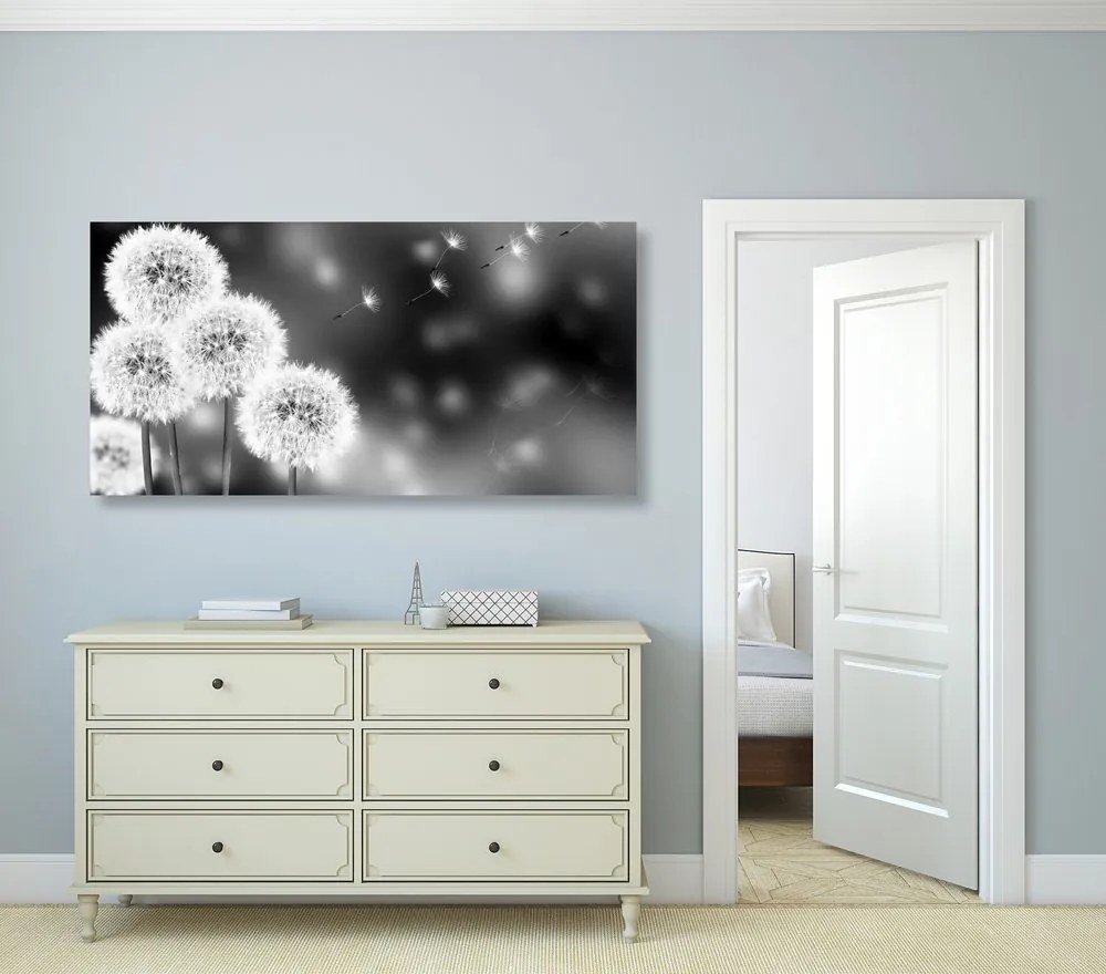 Quadro su tela – Dente di leone soffice in bianco e nero