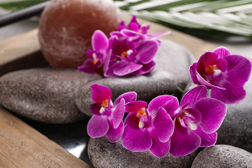 Carta da parati – Splendida orchidea e pietre zen