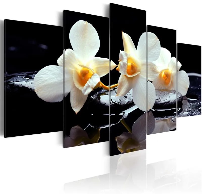 Quadro Orchidee con accento orange  Colore Nero, Dimensioni e Misure 100x50