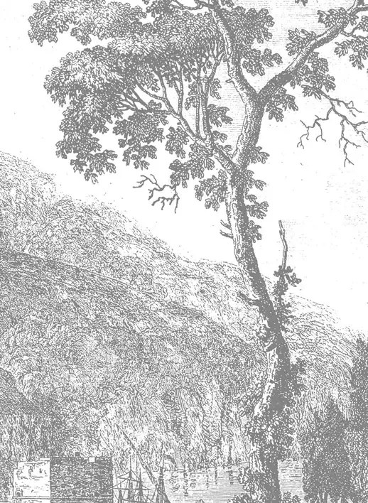 KEK Amsterdam Carta da parati panoramica Engraved Landscapes 1 - BW - Breite 3.896m