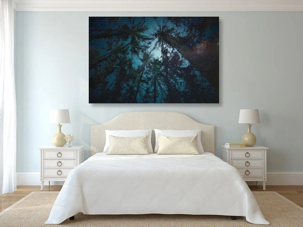 Quadro su tela – Notte nella foresta