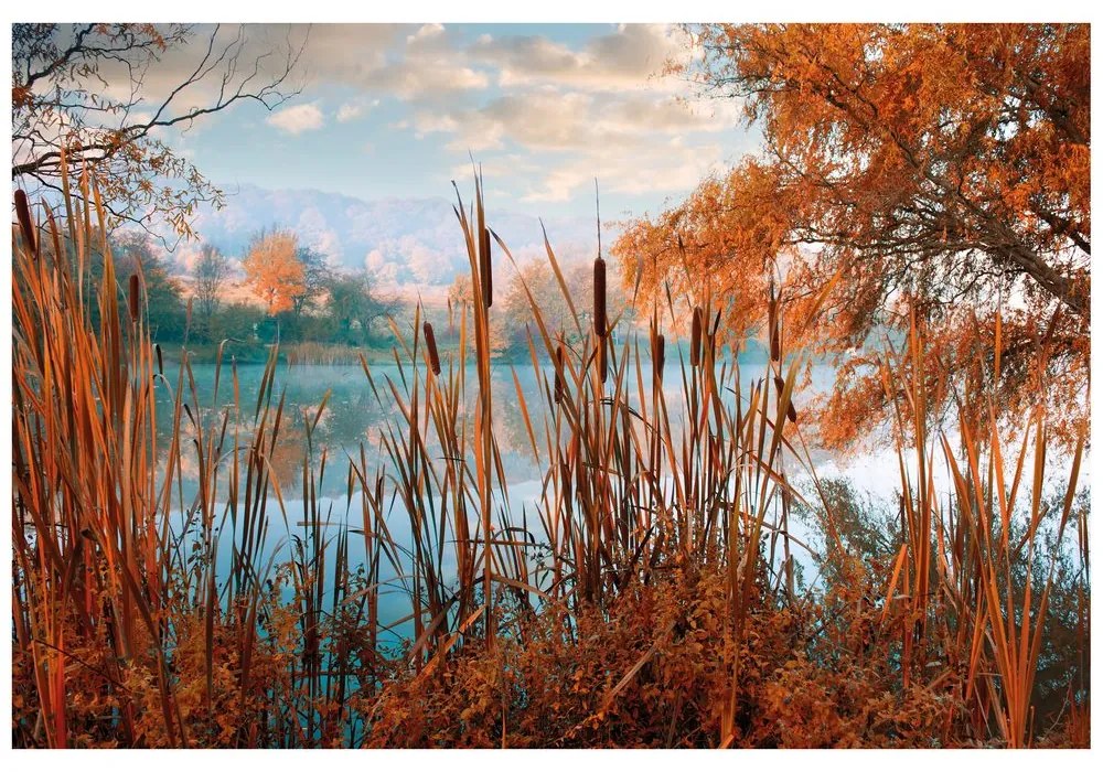 Carta da parati – Lago nel mezzo della natura autunnale