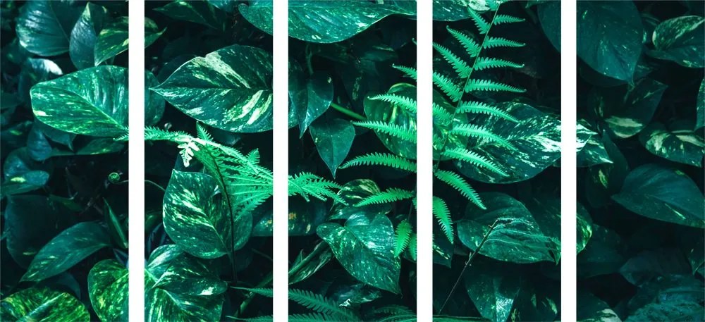 Quadri 5 pezzi – Foglie tropicali fresche